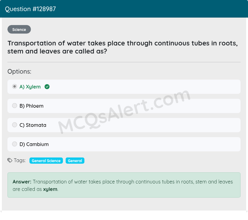 Question Screenshot