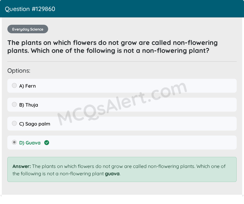 Question Screenshot