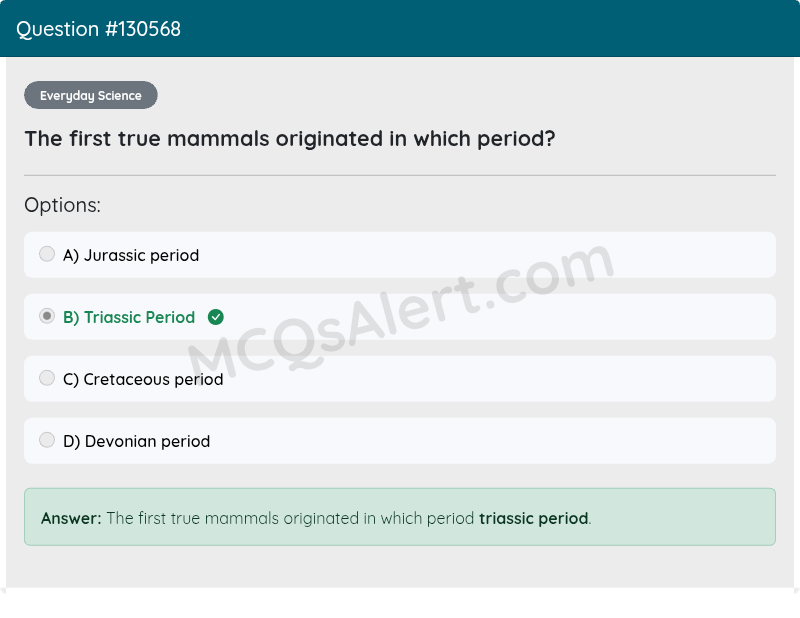 Question Screenshot