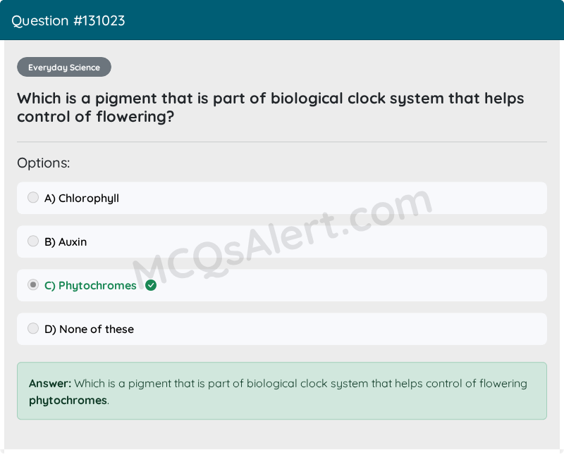 Question Screenshot