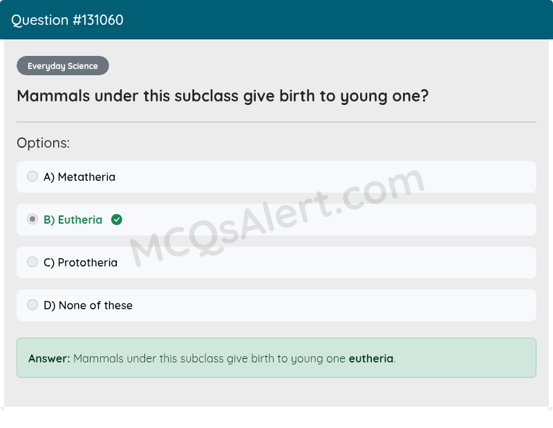 Question Screenshot
