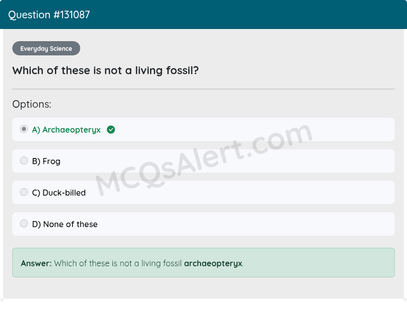 Question Screenshot