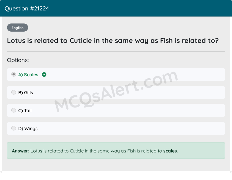 Question Screenshot