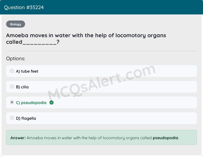 Question Screenshot