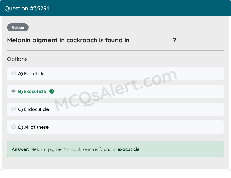Question Screenshot