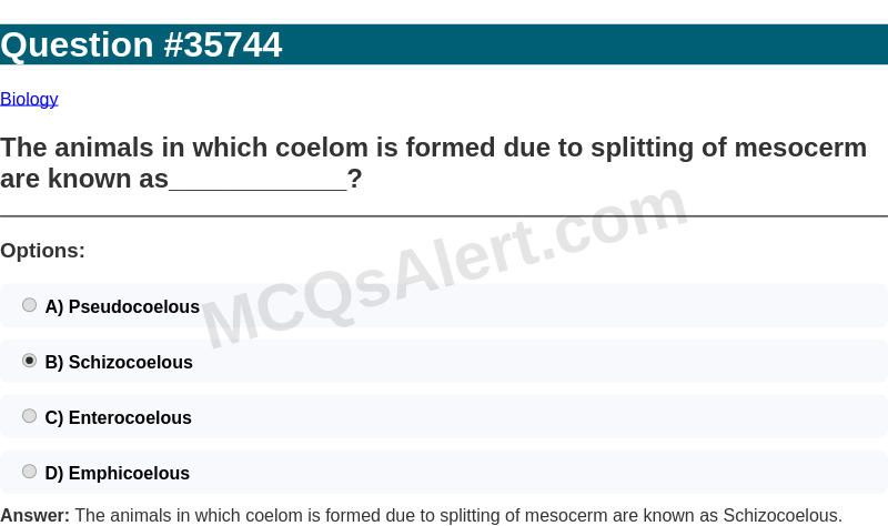 Question Screenshot