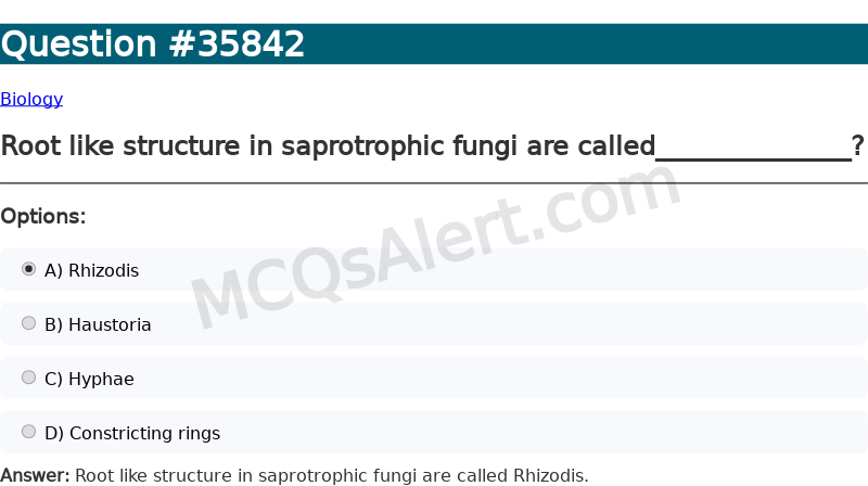 Question Screenshot