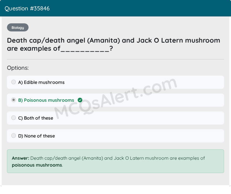 Question Screenshot