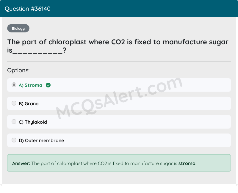 Question Screenshot