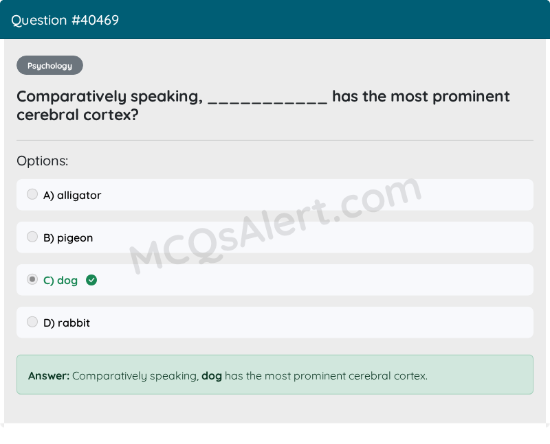 Question Screenshot