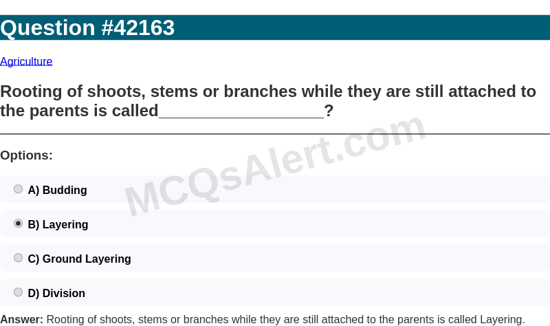Question Screenshot