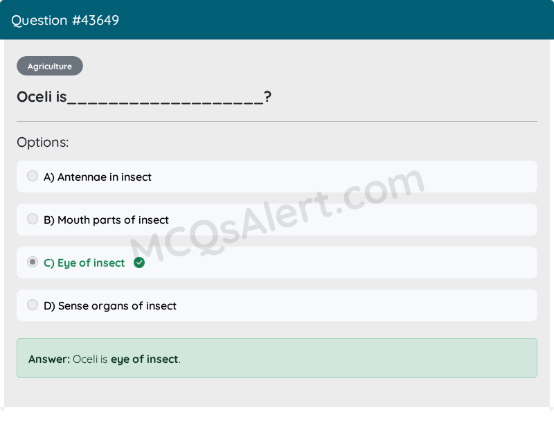 Question Screenshot
