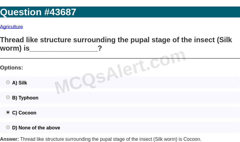 Question Screenshot