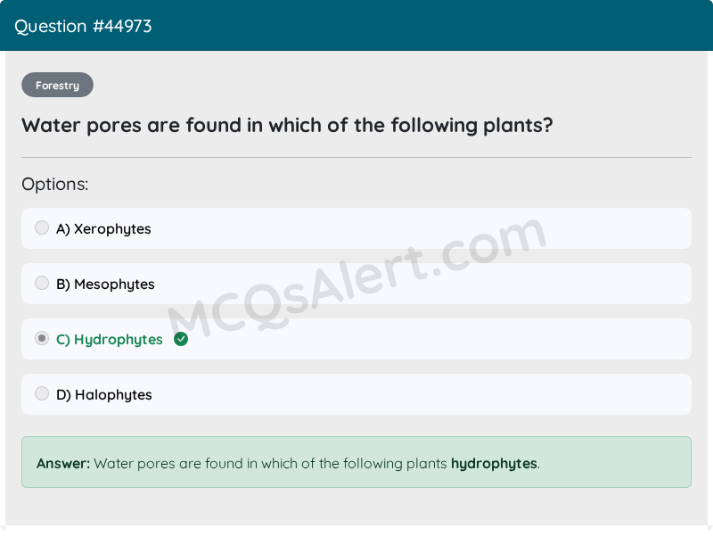 Question Screenshot