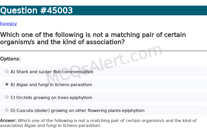 Question Screenshot