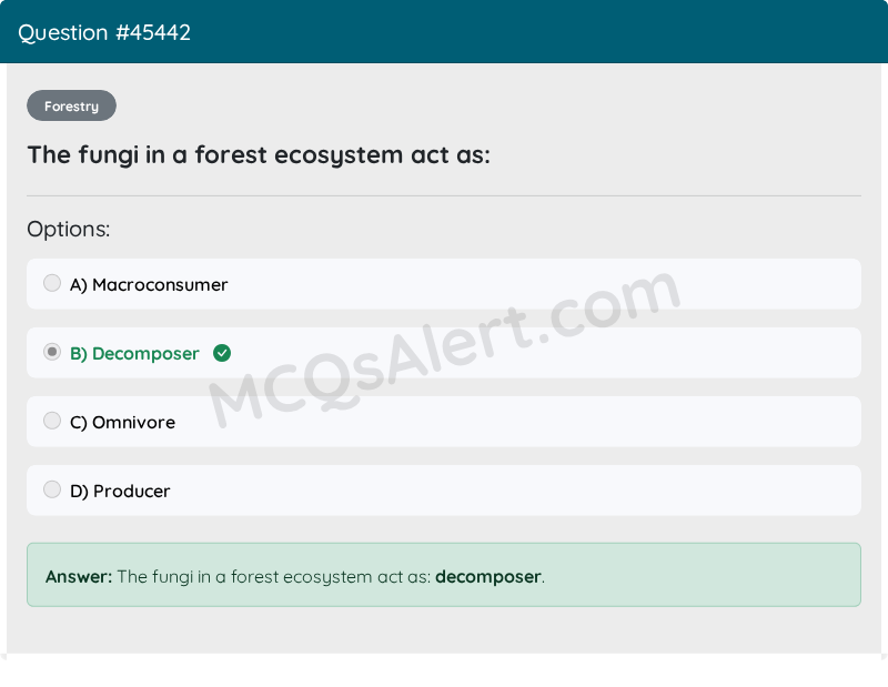 Question Screenshot