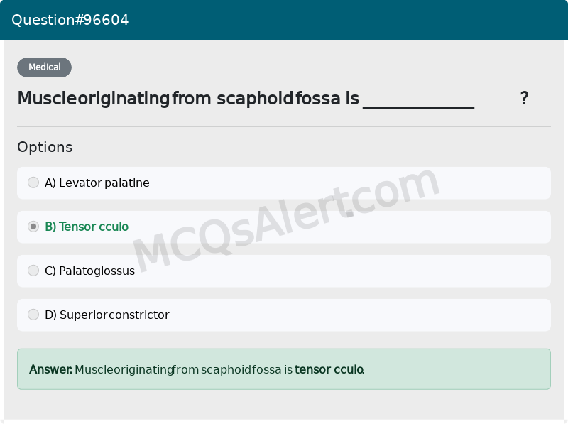Question Screenshot